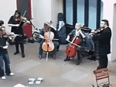 Enjoy the performance in funny gifs