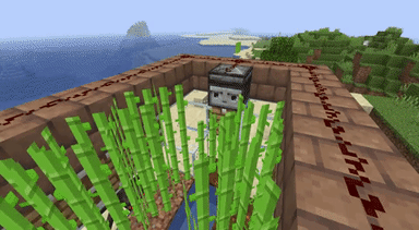 How to make a sugarcane farm in minecraft