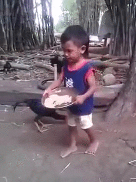 Kép