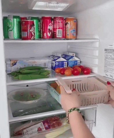 Organizador de geladeira