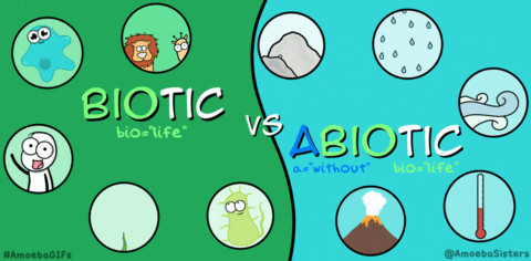 Abiotic S Find And Share On Giphy
