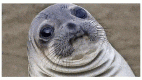Time Lunch GIF Time Lunch GIF