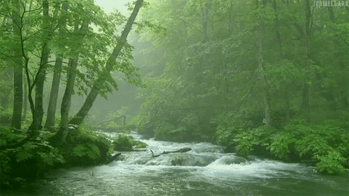 River GIF - Find & Share on GIPHY