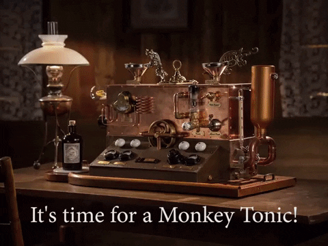 Shaking Monkey Business GIF by Monkey 47