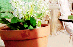 breaking bad bryan cranston walter white aaron paul jesse pinkman