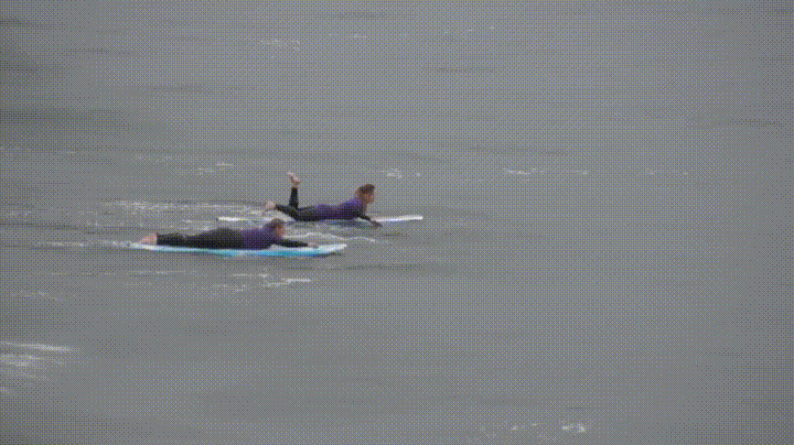 giphy.gif