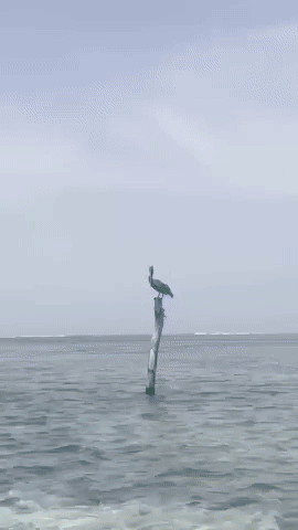 Conheça o Arquipélago de San Blas!