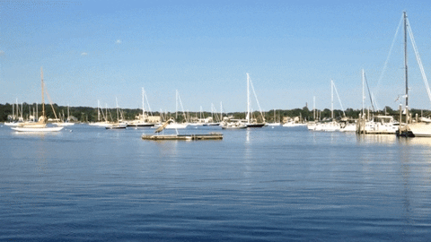 Harbor Newport GIF - Find & Share on GIPHY