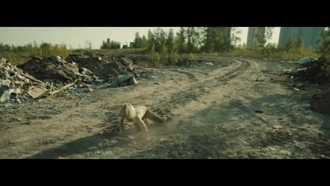 Crawl GIFs - Find & Share on GIPHY