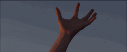 giphy.gif