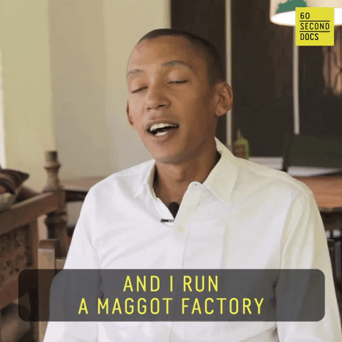 Bug GIF by 60 Second Docs
