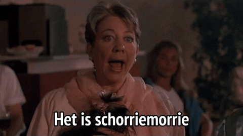 giphy.gif