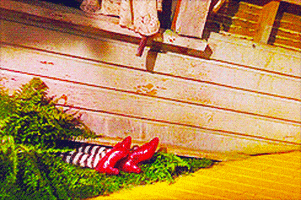 The Wizard Of Oz Gif Find Share On Giphy