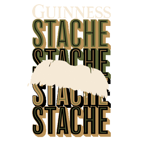 guinness st patricks day beer