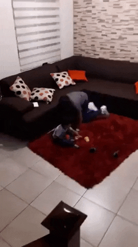 Teamwork at its best in funny gifs