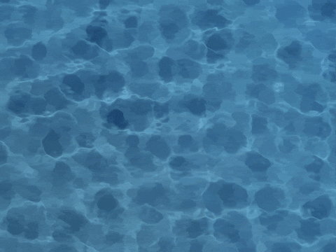 Water Background GIF - Find & Share on GIPHY