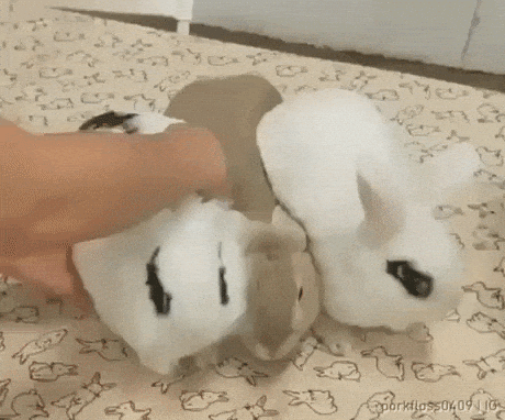 Magnetic bunny love in funny gifs