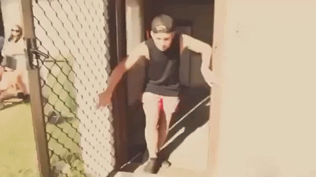 giphy.gif