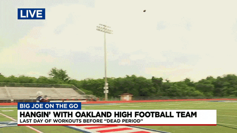 News4 GIF by WSMV News 4, Nashville
