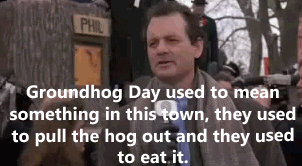 groundhog day saying meaning bill murray comedy gif find on giphy groundhog day saying meaning bill murray comedy gif find on giphy