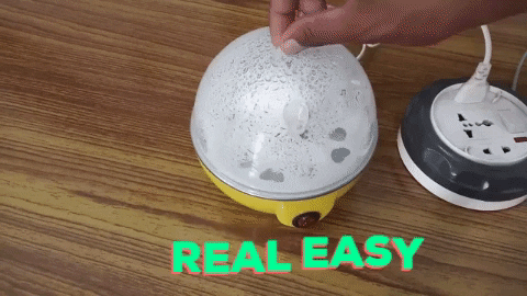 Housedady Electric Egg Boiler – TheStylishGuru