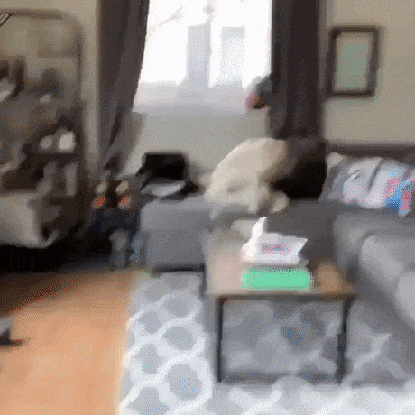 Best seat in house in funny gifs
