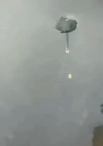 Petals and water funnel in wow gifs