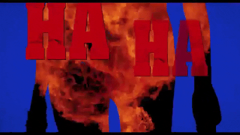giphy.gif