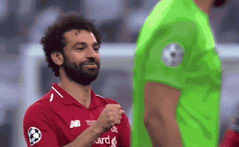 giphy.gif