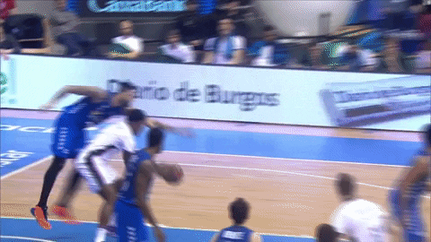 Liga Endesa Basketball GIF by ACB