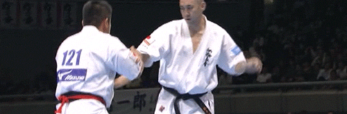 Karate Kyokushin GIF - Find & Share on GIPHY