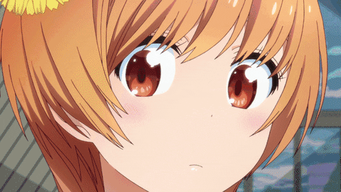 Nisekoi GIF - Find & Share on GIPHY