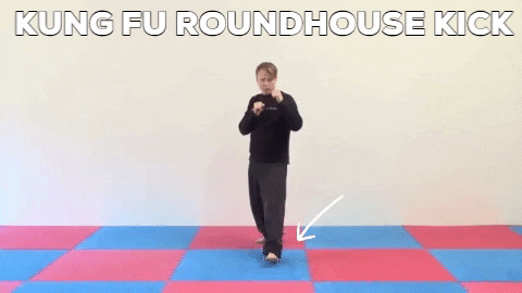 Kung fu roundhouse kick gif