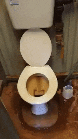 Outback outhouse in wtf gifs