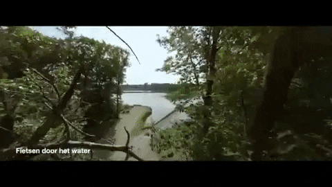 Water Bike GIF by Stad Genk - Find & Share on GIPHY