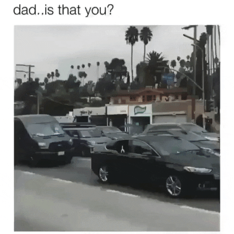 Dad is that you in dog gifs
