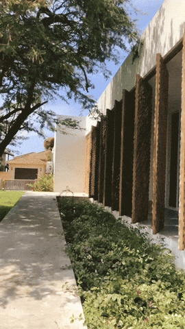 árboles más estructura de cemento