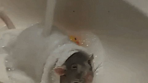 Taking a nice shower