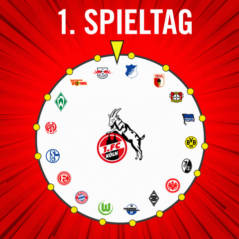 1. FC Köln GIF - Find & Share on GIPHY