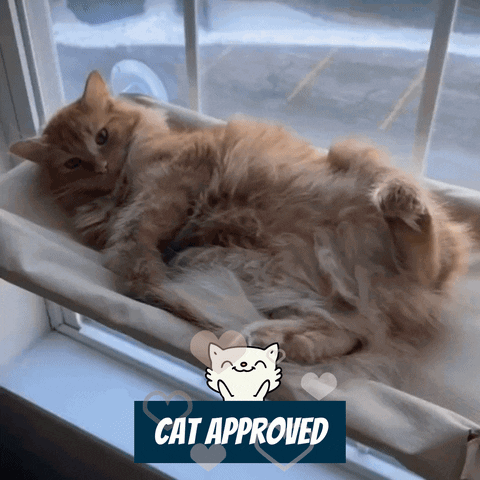 Nymock Indoor Cat Hammock Placed On Window