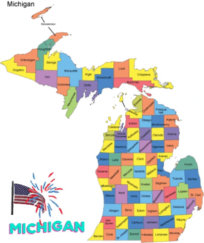Michigan Area Codes