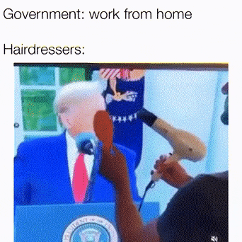 Hairdressers working from home in funny gifs