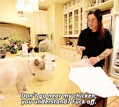 giphy.gif