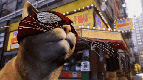 gato bailando de felicidad porque los juegos de Xbox podrían llegar a PlayStation 5.- Blog Hola Telcel