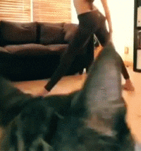 https://media.giphy.com/media/iMschDE34cUxy/giphy.gif