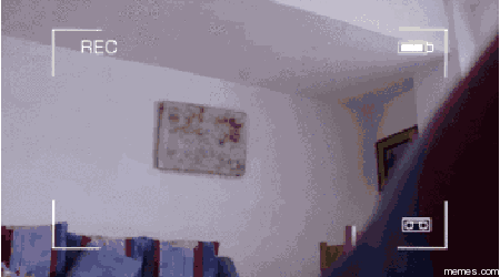 Caught On Camera GIF Find & Share on GIPHY