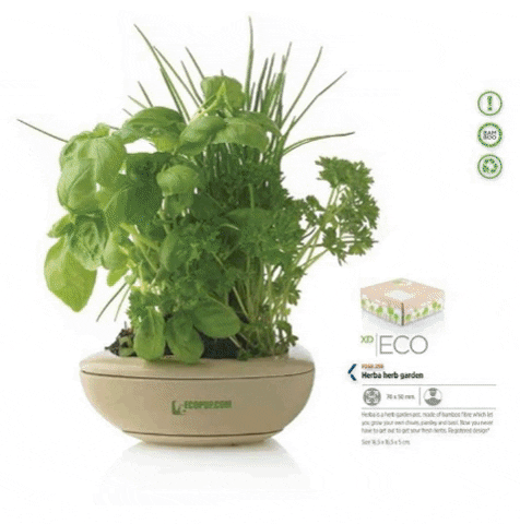XD Eco - Herba Home Herb System - Biodegradable