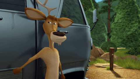Open Season Signaling GIF by Sony Pictures Animation - Find & Share on GIPHY