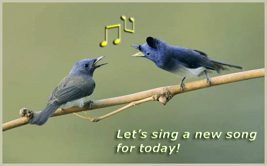 Image result for gif birds singing