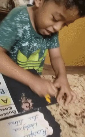 giphy.gif